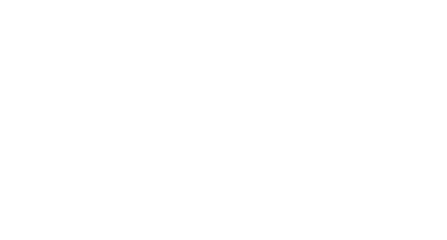 Düşünür Koleji